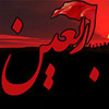 امام حسین (ع) اور زیارت اربعین<font color=red size=-1>- مشاہدات: 12392</font>