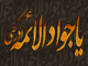 امامت امام جواد (ع) ، شیعہ روایات کی روشنی میں<font color=red size=-1>- مشاہدات: 5546</font>