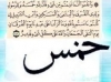 خمس آل محمد کا حق تھا لیکن خلفاﺀ نے دینے سے انکار کیا ۔۔۔
